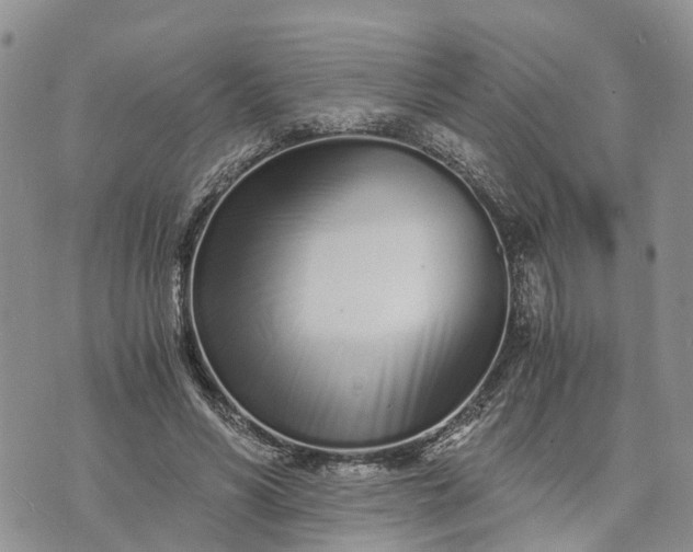 X0000073450590200608111352