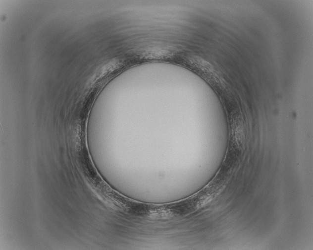 X0000073450591200608111352