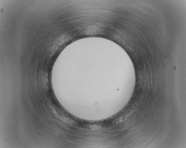 X0000073450592200608111352