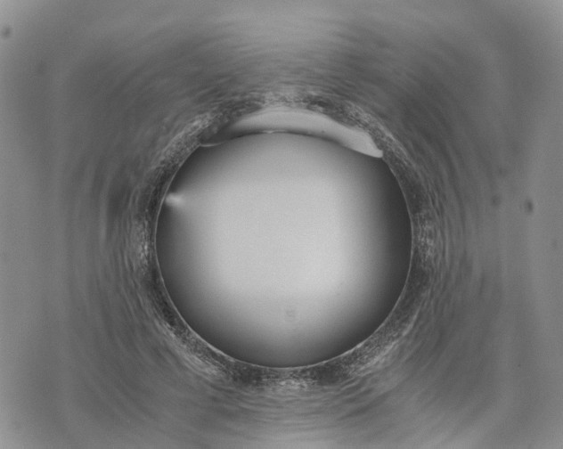 X0000073450593200608111352