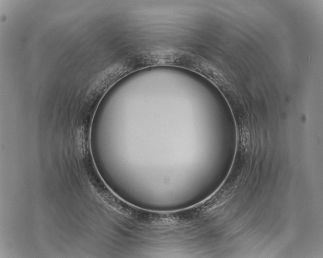 X0000073450594200608111352