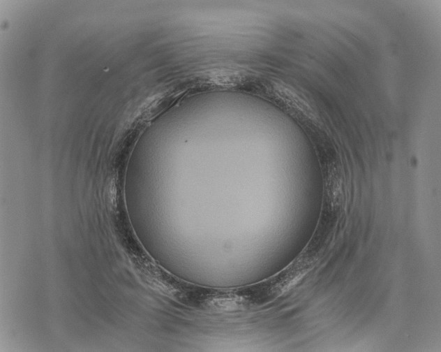 X0000073450595200608111352