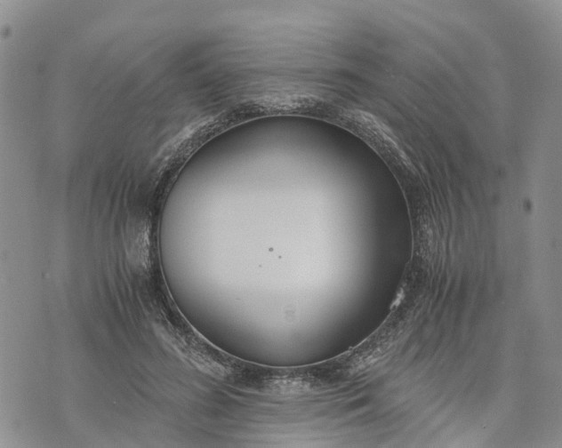 X0000073450596200608111352