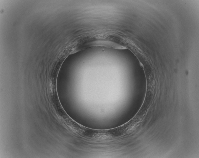 X0000073450597200608111352