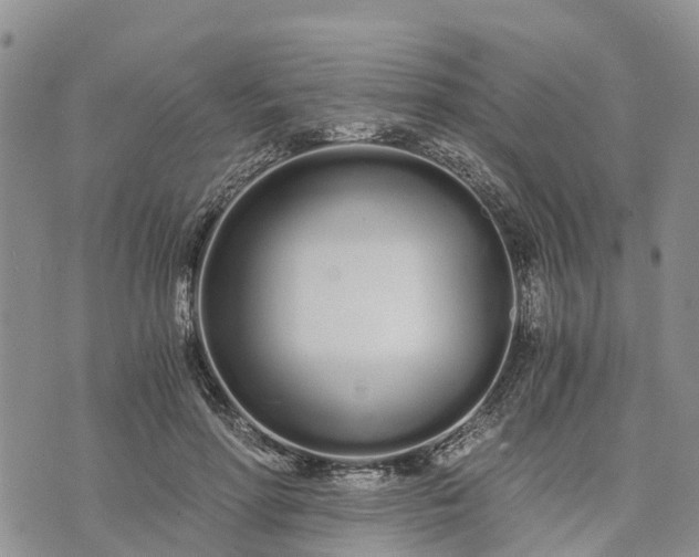 X0000073450598200608111352