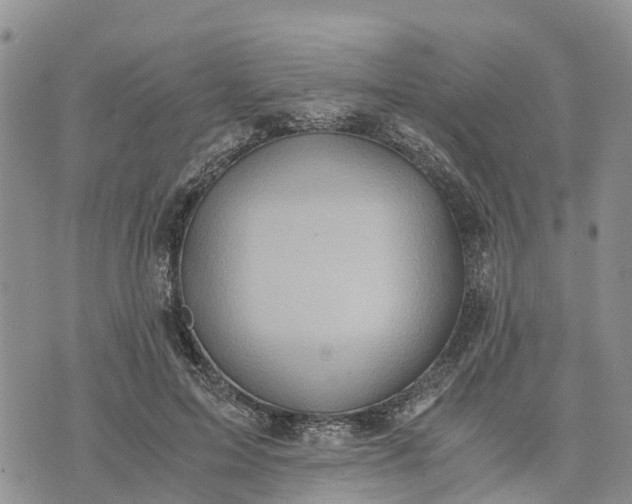 X0000073450599200608111352