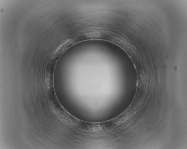 X0000073450600200608111352