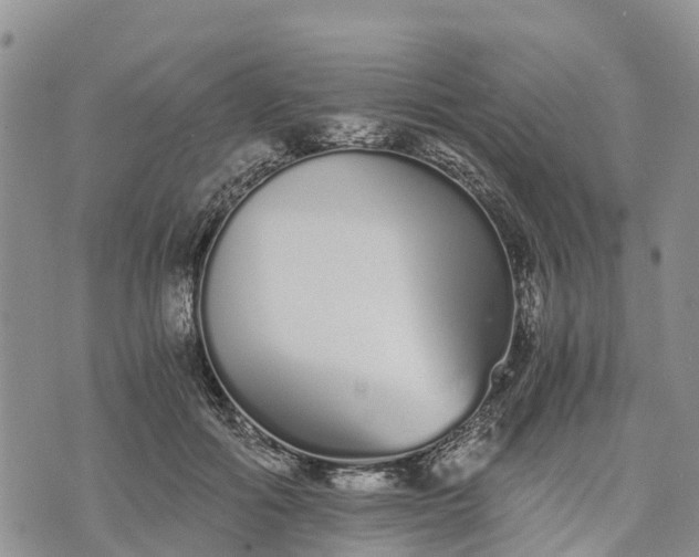 X0000073450602200608111352