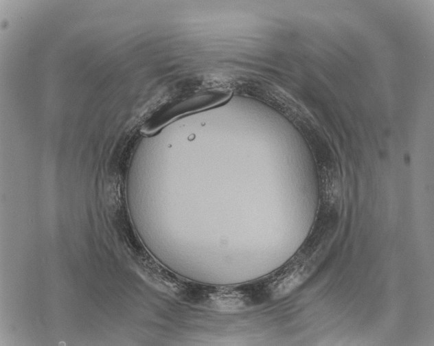 X0000073450603200608111352