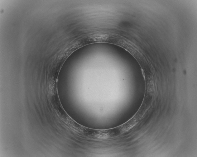 X0000073450604200608111352