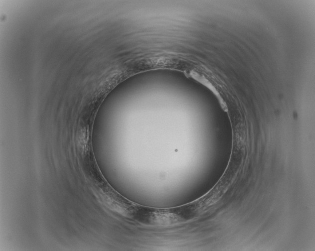 X0000073450605200608111352