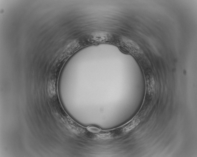 X0000073450606200608111352