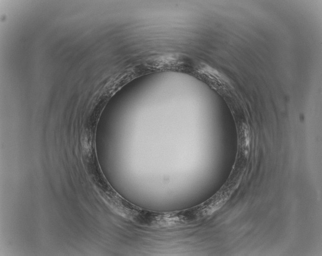 X0000073450607200608111352