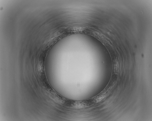 X0000073450608200608111352