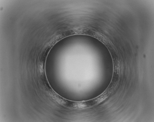 X0000073450610200608111352