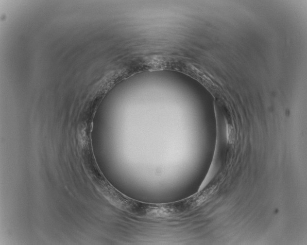 X0000073450611200608111352