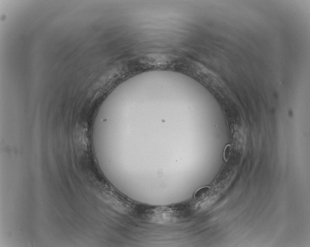 X0000073450612200608111352