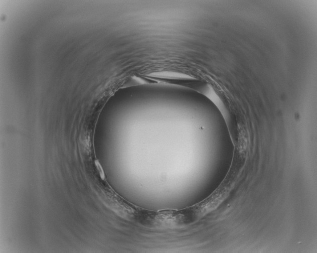 X0000073450613200608111352