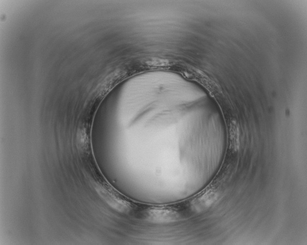 X0000073450614200608111352