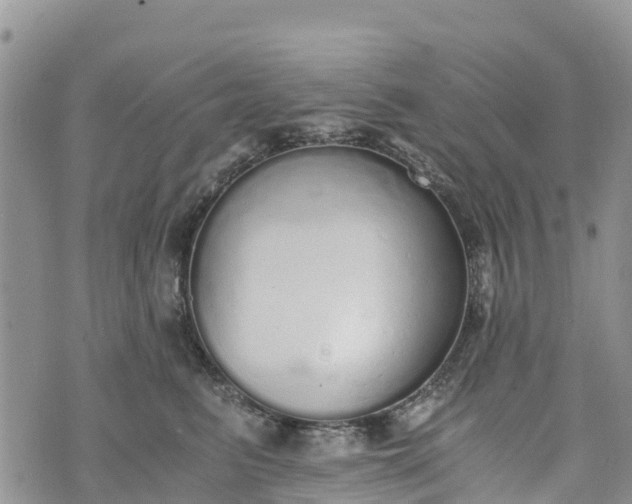 X0000073450615200608111352