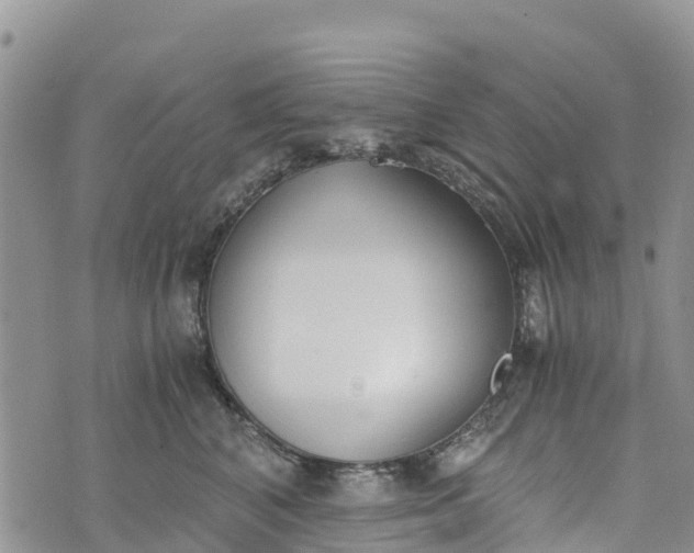 X0000073450616200608111352