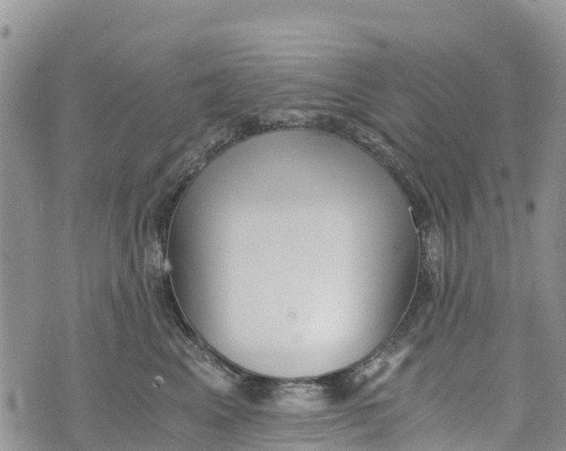 X0000073450617200608111352