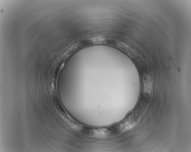 X0000073450618200608111352