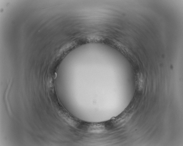 X0000073450619200608111352