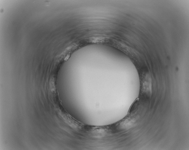 X0000073450620200608111352