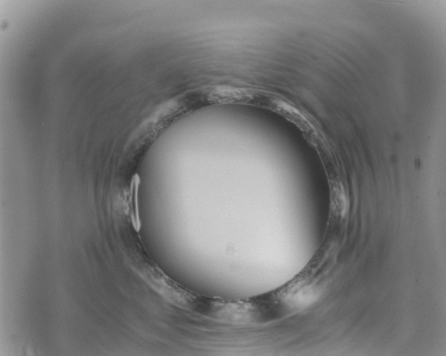 X0000073450621200608111352