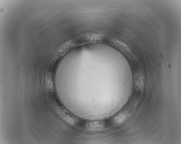 X0000073450622200608111352