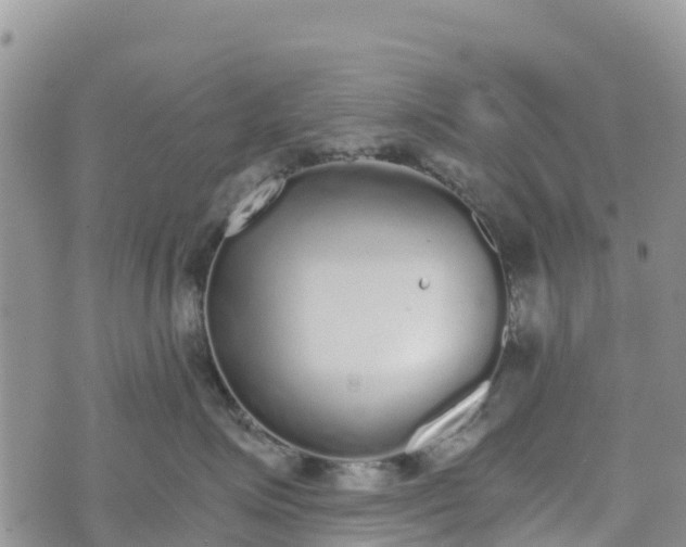 X0000073450623200608111352