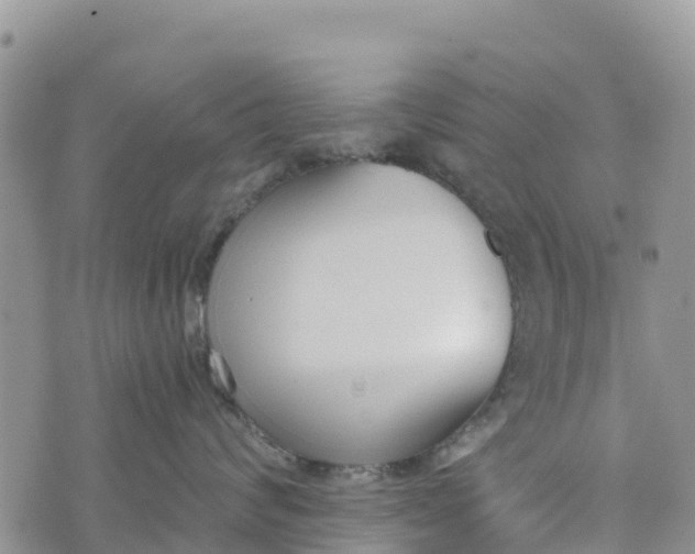 X0000073450624200608111352