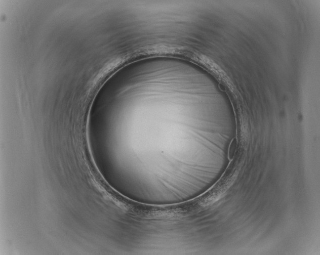 X0000073450625200608111351