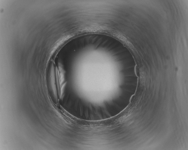 X0000073450626200608111351