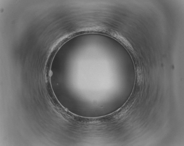 X0000073450628200608111351