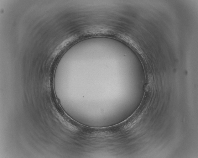 X0000073450629200608111351