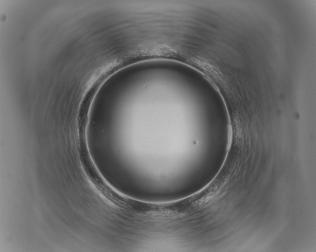 X0000073450630200608111351