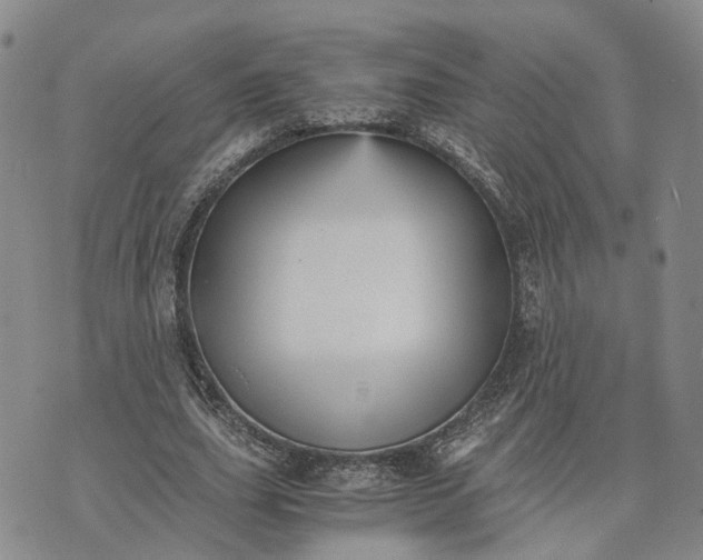 X0000073450631200608111351