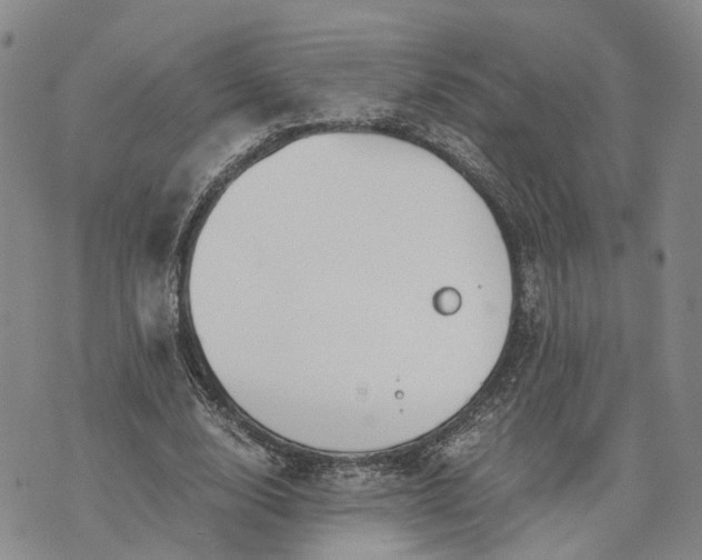 X0000073450632200608111351