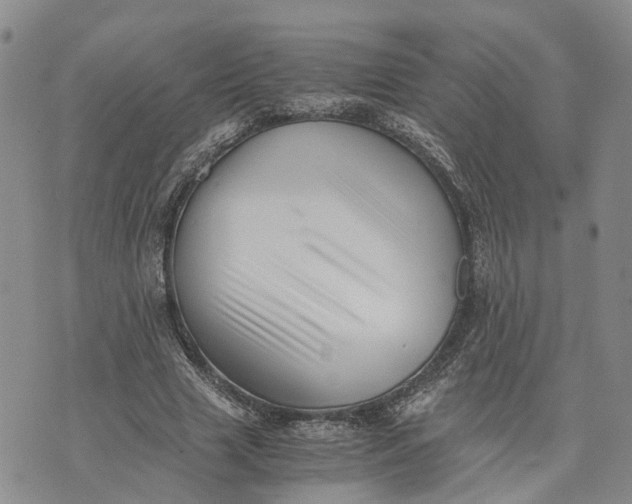 X0000073450633200608111351