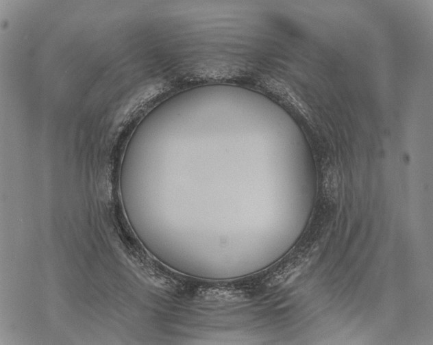 X0000073450635200608111351