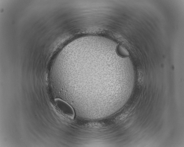 X0000073450636200608111351