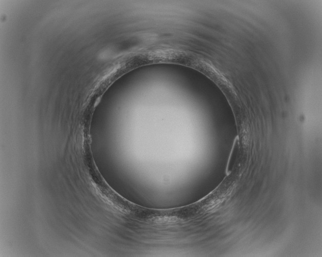 X0000073450637200608111351