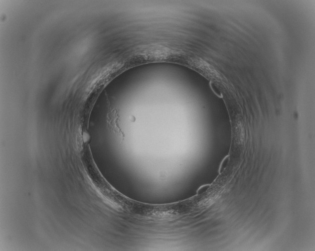 X0000073450638200608111351