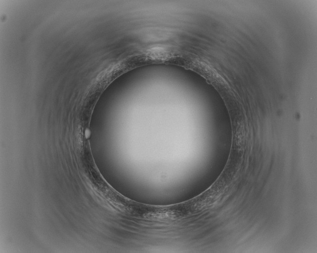 X0000073450639200608111351