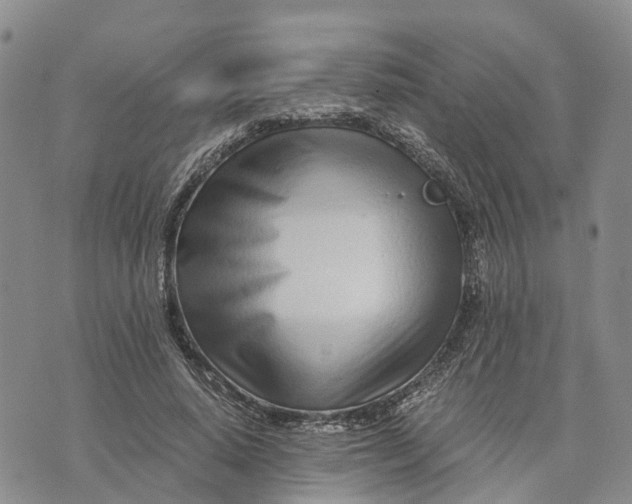 X0000073450640200608111351