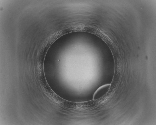 X0000073450641200608111351