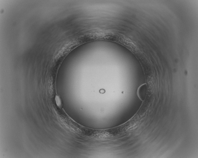 X0000073450642200608111351