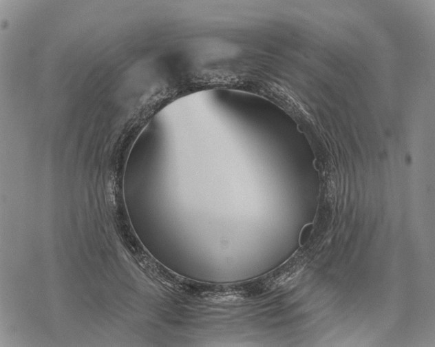 X0000073450643200608111351